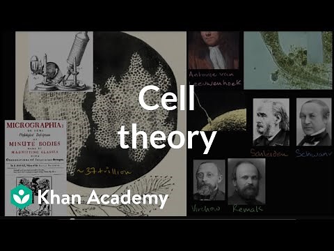 Cell theory | The cellular basis of life | High school biology | Khan Academy