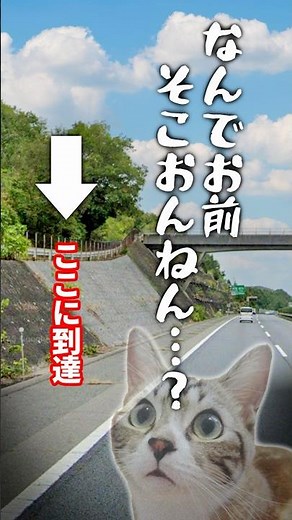 I rode on a mysterious road visible from the highway #motorcycle #touring #verification