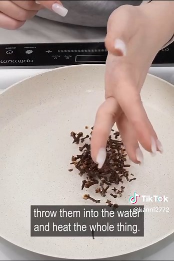 Effective Kitchen Tips to Get Rid of Flies, Ants, and Cockroaches