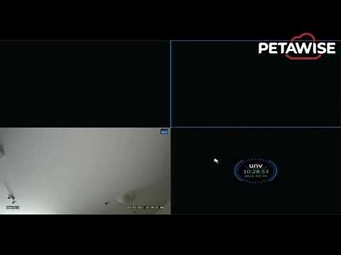 UNV NVR Plug and Play Tutorial