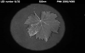 Multispectral Imaging System Built With Raspberry Pi