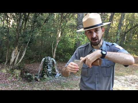 Learn How An Artesian Well Works at Aiken State Park!