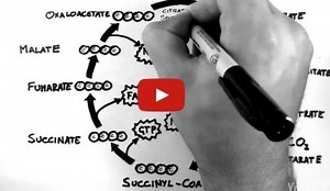 TCA Cycle (Krebs Cycle) Video Tutorial - MADE EASY