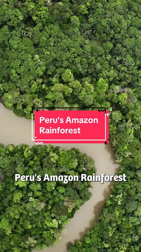 Explore the Amazon Rainforest in Peru: Nature's Paradise