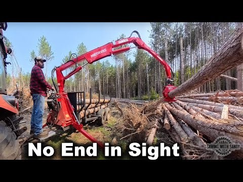 Run a Small-Scale Log Loader With Me (POV)