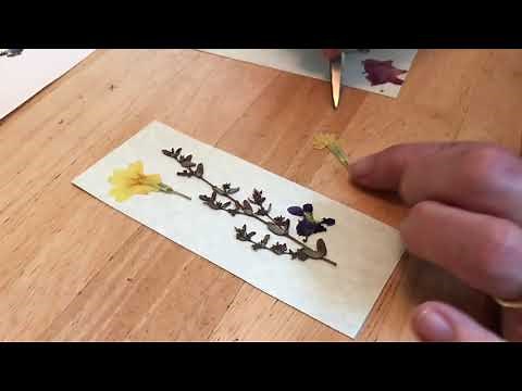 Pressed Flower Bookmark