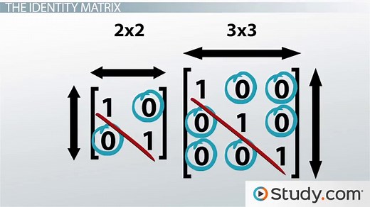 Inverse Matrix | Definition, Types & Example