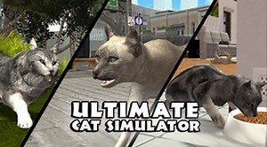Download & Play Ultimate Cat Simulator on PC & Mac (Emulator)