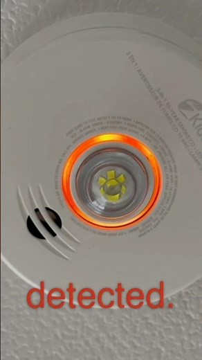 Smoke Alarm testing #shorts