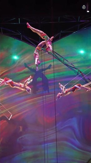 "Impossible Mid-Air Balance 😱 | Circus Artists Defy Gravity! 🎪🔥 #Shorts"