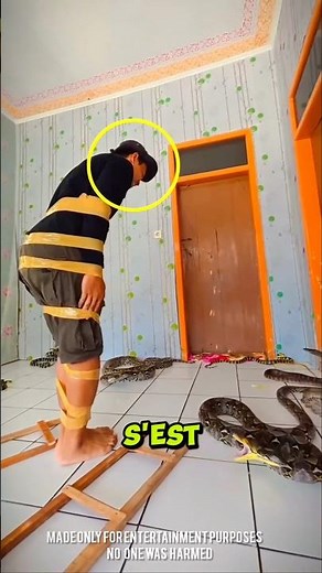 Le jeu du SERPENT le plus DANGEREUX au monde