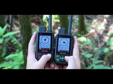 Smart Dog Tracking with GPS and Satellite Precision