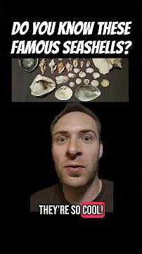 5 ICONIC seashells EVERYONE should know