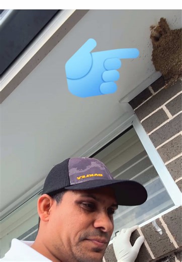 Expert Nepali Pest Control Services in Sydney