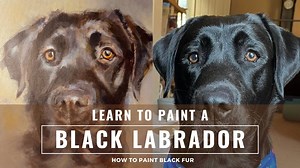 Learn To Paint A Black Labrador in Acrylic Paint : Step by Step Guide To Painting Black Fur | Alexandra Goddard | Skillshare