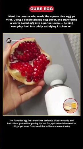 The Viral Square Egg Hack Everyone’s Trying! #cube #eggcube #facts #usashorts #viralfacts #ytshorts