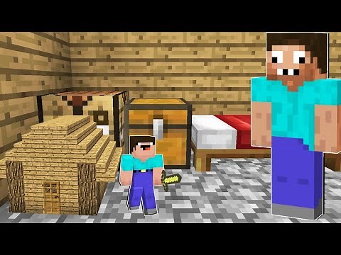 TINY NOOB PRANKED PRO in MINECRAFT ! Noob Built A Tiny House Minecraft