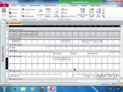 Using Access 2010 - Count Records