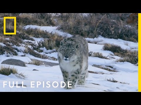 Mountains (Full Episode) | Hostile Planet