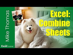 Excel: Combine Data from Different Sheets into One Table (for Non-365 Users)