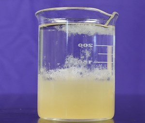 Banana DNA Extraction: Visualizing Deoxyribonucleic Acid | CRSci