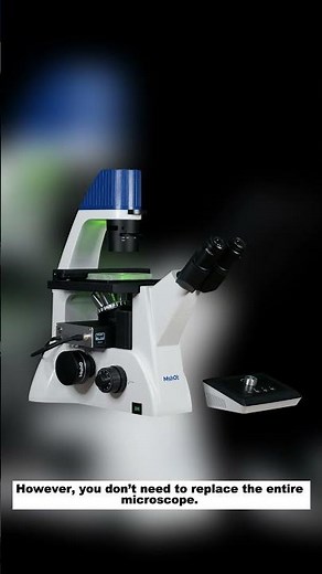 Upgrade Your Biological Microscope for Fluorescence—MSHOT MIF-LED Inverted LED Fluorescence Module