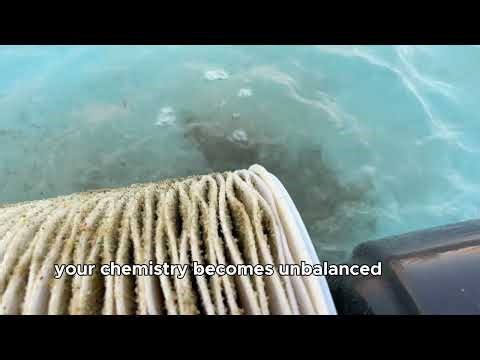 Skip Pool Maintenance in Austin and Here’s What Happens