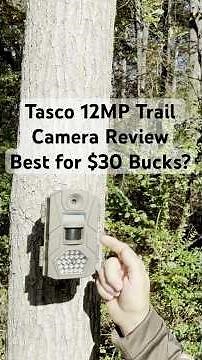 Tasco 12MP Trail Camera Review! Best for $30 BUCKS?? #trailcamera #hunting #wildlife #shorts