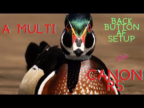 Canon R5 Back Button Autofocus Setup