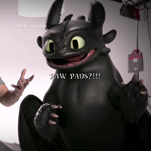 Adorable Night Fury and Bewilderbeast Plushie Kit Featuring Toothless - Dreamwork Dragons