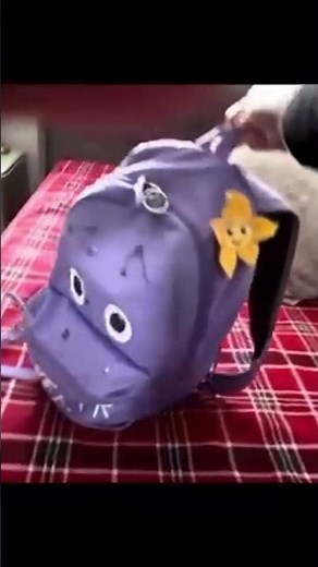 Dora the explorer 🧭 Backpack 🎒