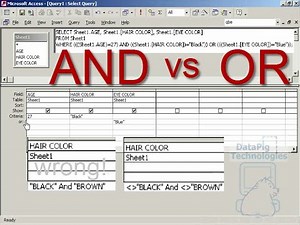 AND vs OR in an Access Query Grid + SQL introduction ~ DataPig