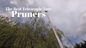 The Best Telescopic Tree Pruner: Tested & Reviewed by Daniel