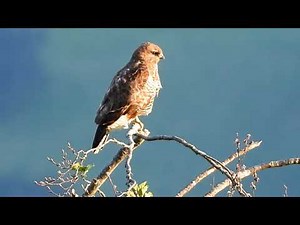 Une buse variable