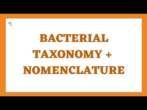 Bacterial Nomenclature | Bacterial Taxonomy | Bacteria Names