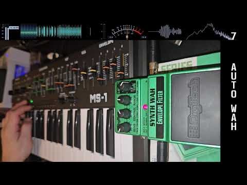 DigiTech Synth Wah & MS-1