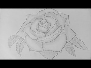 How To Draw A Rose Easy For Beginners