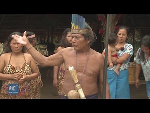 New life of the fearsome jivaro tribe in the Peruvian Amazon