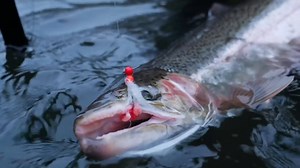 How you like some tips and tricks for float fishing? 🎣 Float fishing is an easy technique to learn, and fairly easy to master with time on the water. Marlin is going to cover how to set up a fixed float setup, and Jordan is going to cover the sliding float setup. Take a look! | Addicted Fishing