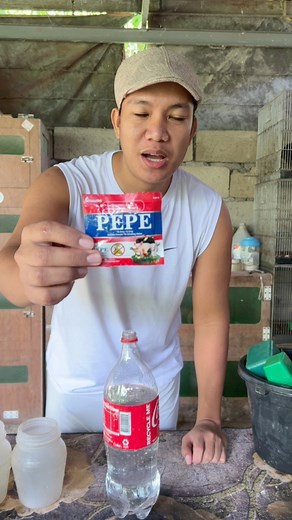 Buwan Buwan ang pag pupurga ko ng mga manok, Sa 4 months old pababa water soluble na pamurga ang bnibigay ko mga Kaserama 😊❤️ #deworming #dewormingtime #deworm #PepeDewormer #seramachickens #serama #seramabantam #ayamserama #MalaysianSerama #chickensofig | Jhon Vincent Dorado