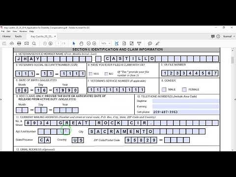 Auto PDF Form Filling Application in Excel VBA