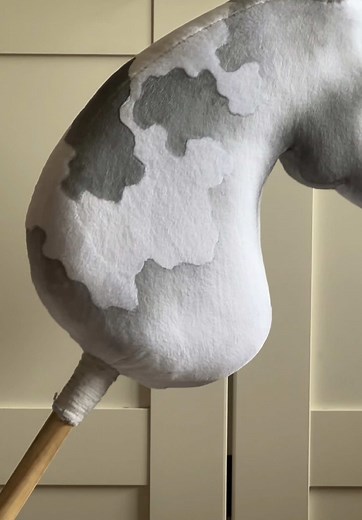 Beginner's Guide to Hobbyhorsing Techniques