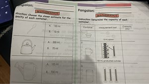 Here are two sets of instructions and questions related to capa... | Filo