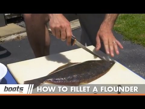 How to Fillet a Flounder: Instructional Video