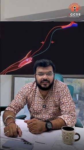 How Reflex Arcs Work Lightning-Fast Reactions | IGCSE Biology