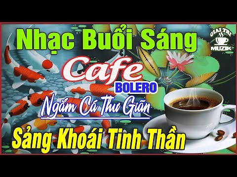 Nhạc không Lời Buổi Sáng Ngắm Cá Thư Giãn ➤Hòa Tấu Rumba Guitar Cafe Buổi Sáng , Nhạc Phòng Trà #205