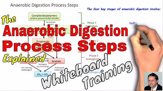 The Anaerobic Digestion Process Steps: From Trash to Cash