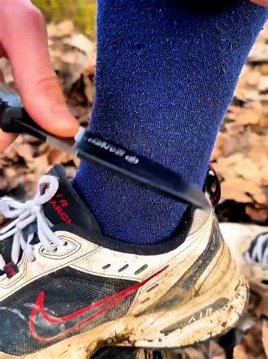 Camping Survival Hacks for Forest Adventures