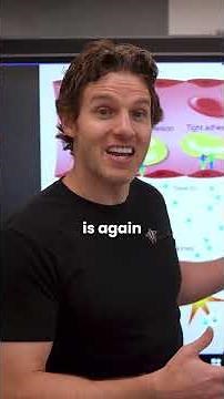 Why Inflammation Is Your Body's HULK