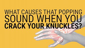 What happens to your joints when you crack your knuckles. | Business Insider